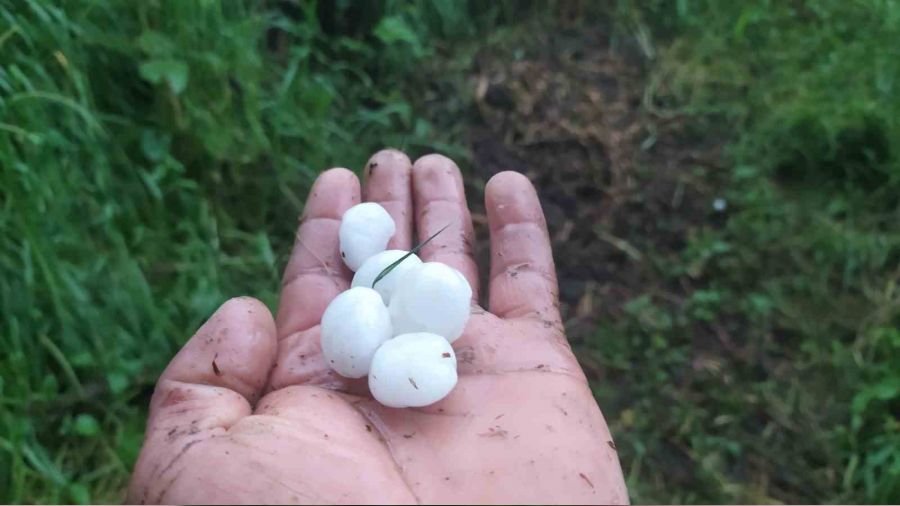 Ordu'da fındık bahçelerini ceviz büyüklüğünde dolu vurdu