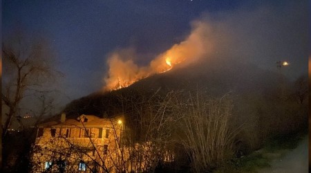 Ordu'da orman yangını