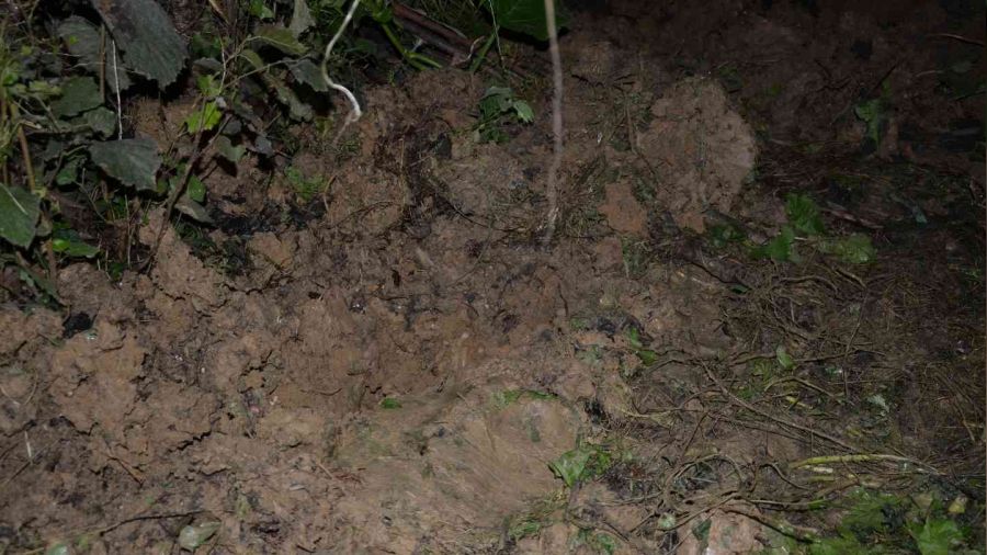 Ordu'da yeni do�mu� bebek topra�a g�m�l� olarak bulundu