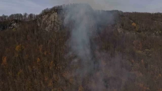Ordu'daki ormanlk alandaki yangn kontrol altna alnd