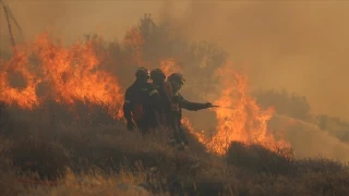  Orman yangnlar ABD ve Avrupa'da da etkili oluyor