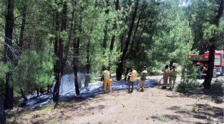 Ormanı yakarken yakalandı, tutuklandı