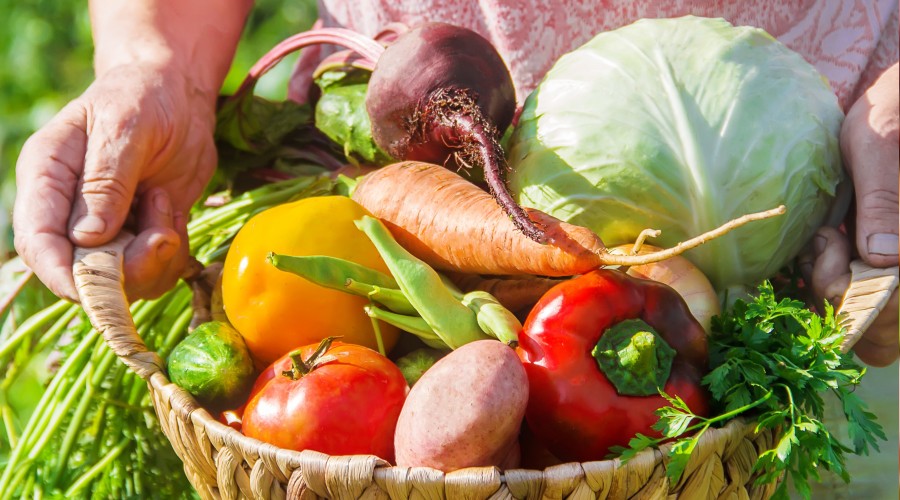 Pandemiye ra�men ilerlemeye devam