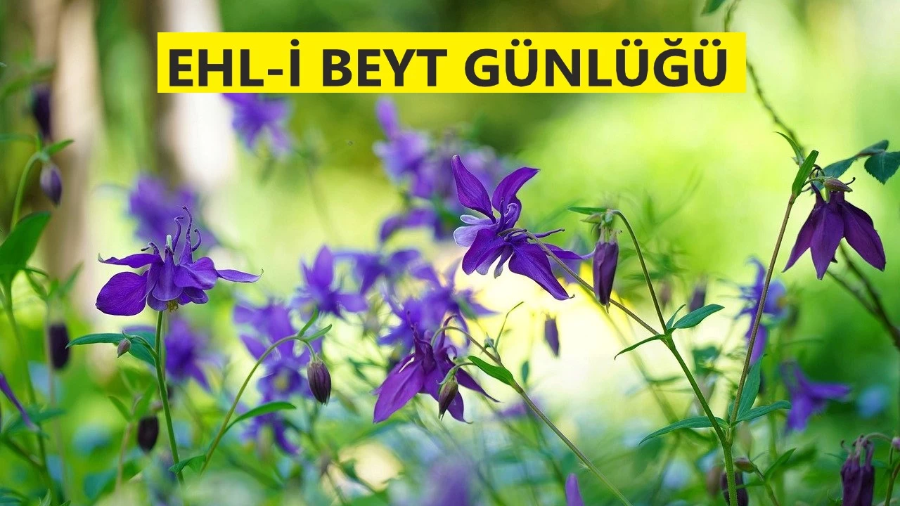 Peygamberimiz halifelerin say�s�n� bildirdi