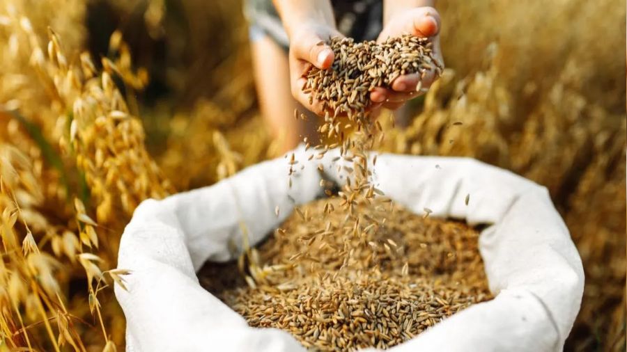 Polonya, Ukrayna g�dalar�na ge�ici yasak uygulayacak