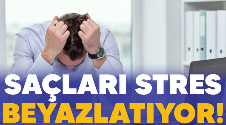 Salar stres beyazlatyor!