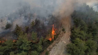 Sakarya'da yangn 45 saattir sryor