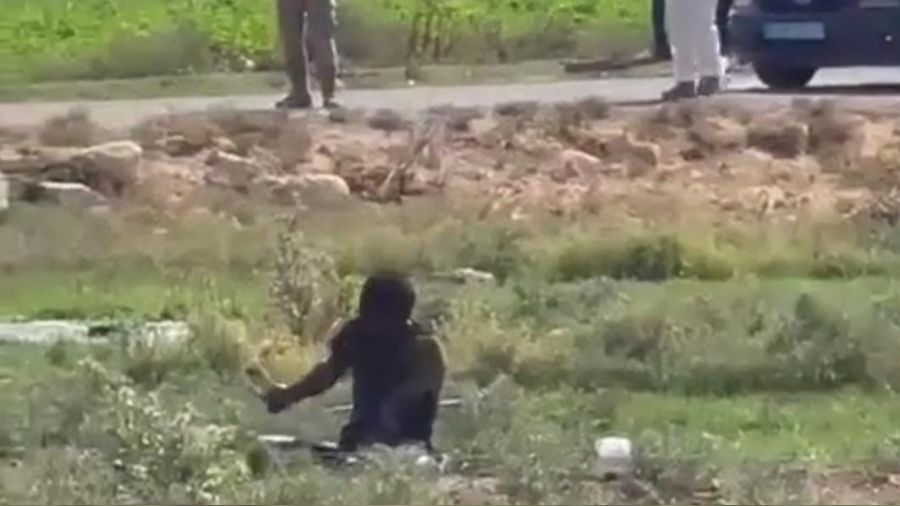 �anl�urfa'da kuduz hastas� �ah�s hastaneden ka�t�