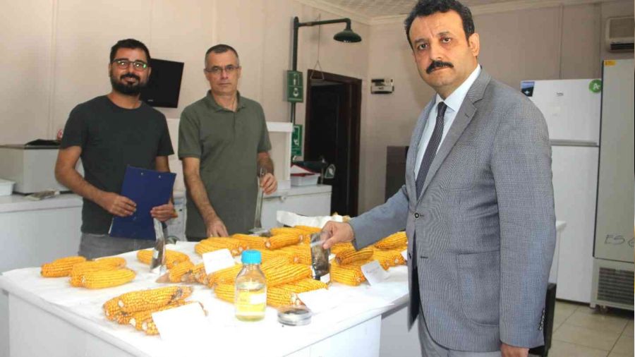 Şanlıurfa'da yerli doğal gübre hamlesi