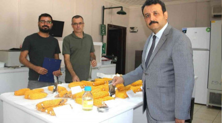 Şanlıurfa'da yerli doğal gübre hamlesi