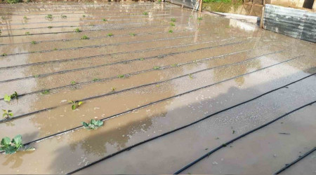 Selde tarım arazileri zarar gördü