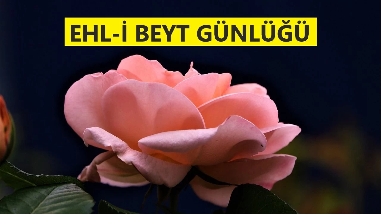 ‘Sen dinin için onlardan korktun’