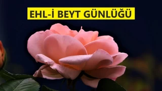 ‘Sen dinin için onlardan korktun’