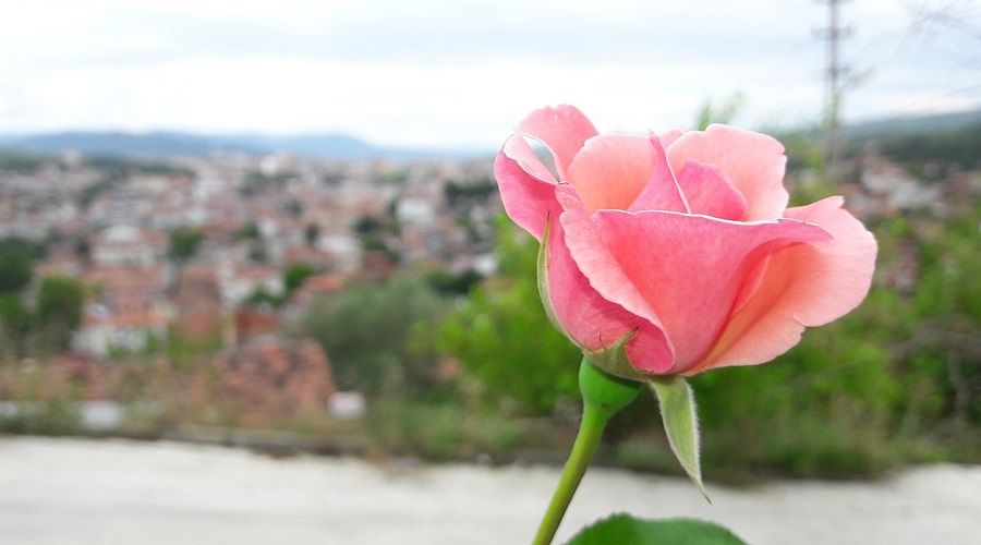 Sinoplu lise ��rencileri engellilerin y�z�n� g�ld�recek