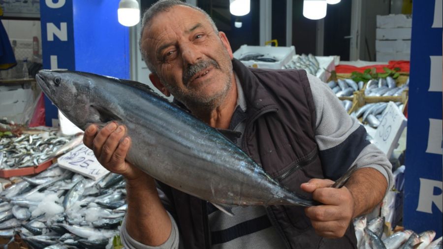 Sinop'ta 5-7 kilogram arası torikler 700 TL