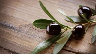 Sofralk zeytin ihracatnda rekor krld