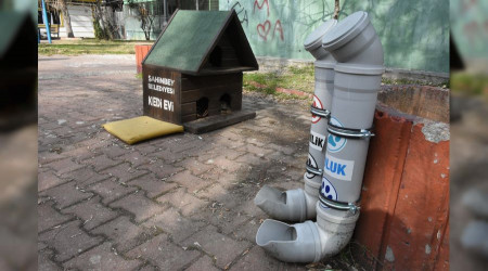 Sokak hayvanları için su