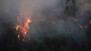 Söndürülen yangın yeniden alevlendi, 95 ev tahliye edildi
