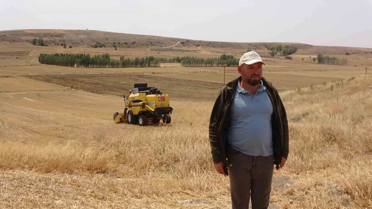 Sorgunlu �retici nohut i�in tescil istiyor