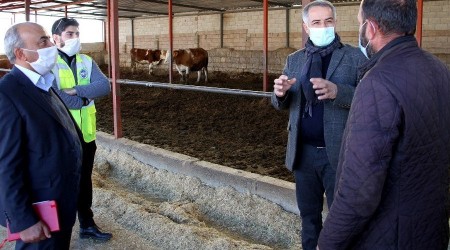 Talaslı üreticilere uzaktan eğitim, yerinde soru-cevap