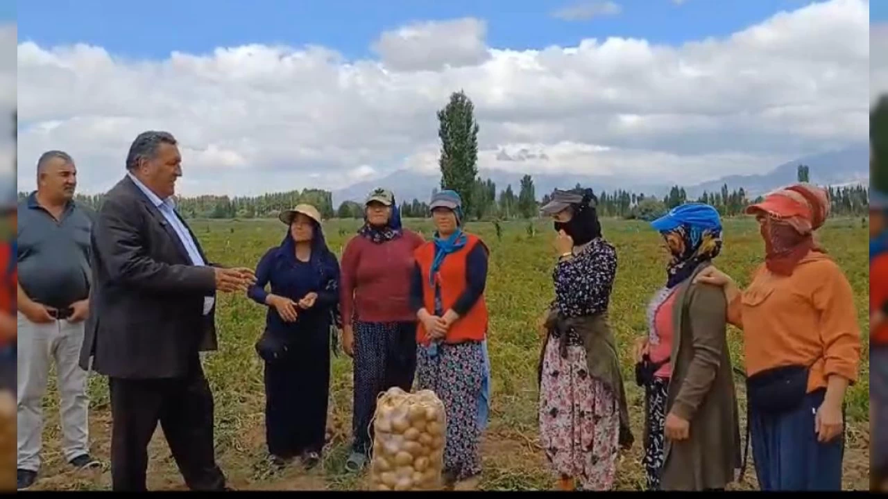 Tarım işçisi kadınların sosyal güvencesi yok