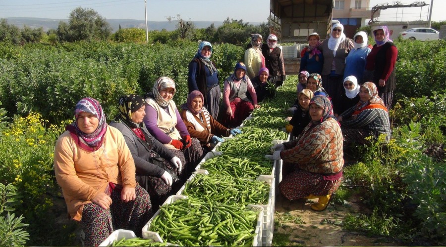 Tarm kadnlar omuzluyor