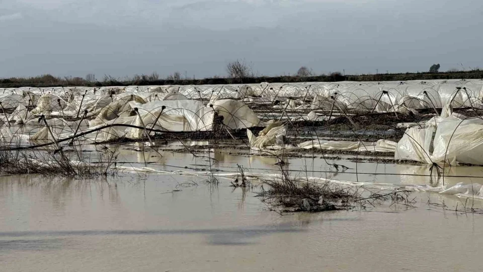 Tarsus'ta ya�mur ve f�rt�na etkili oldu: Seralar zarar g�rd�