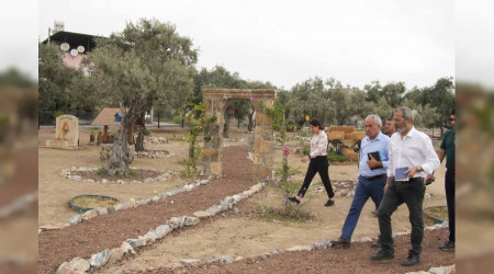 Tarsus'ta 'Zeytin Gen Koruma Alanı' açılıyor
