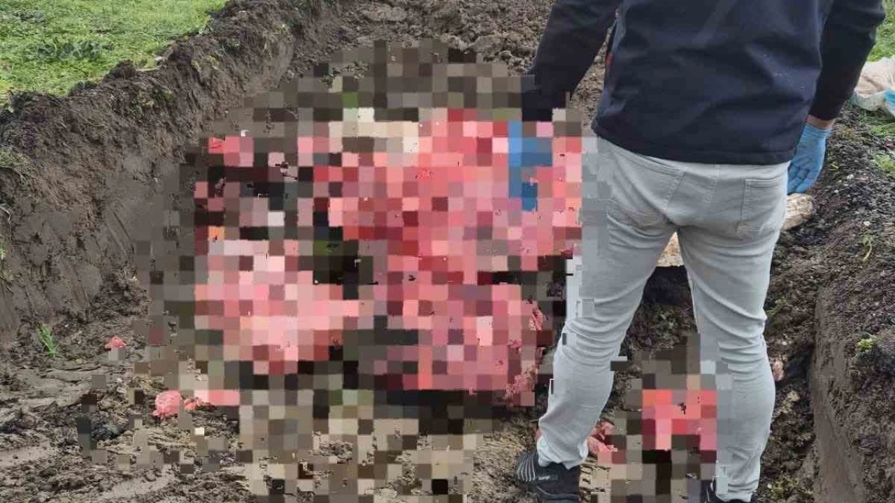 Tekirda'da 1 ton menei belirsiz hayvansal rn ele geirildi