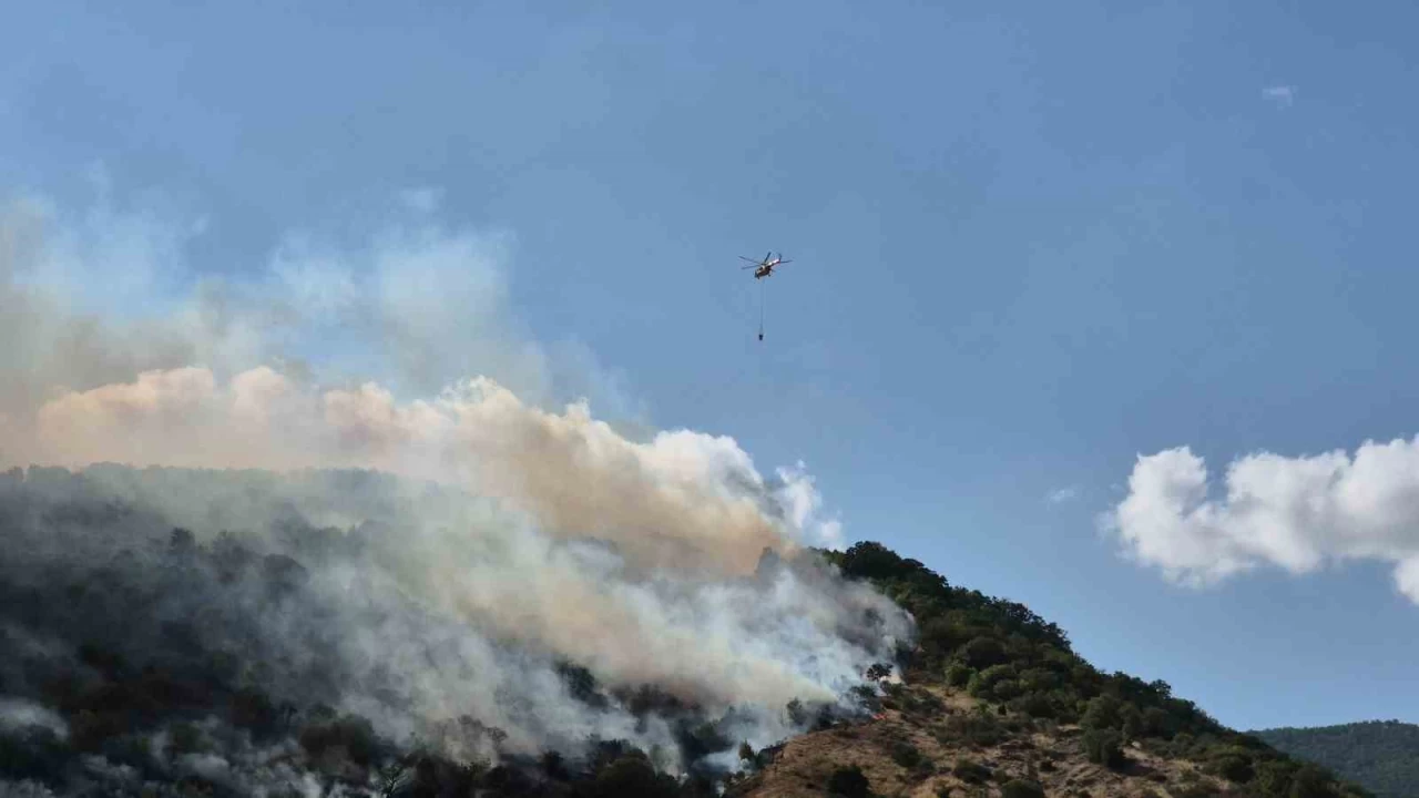 Tekirda�'da sabah s�nd�r�len yang�n yeniden ba�lad�