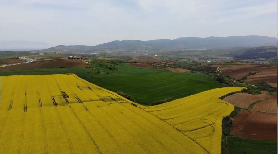 Tekirda'da 'Sar bahar' herkesi hayran brakt