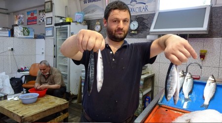 Tezgahlar çingene palamudu ile şenlendi