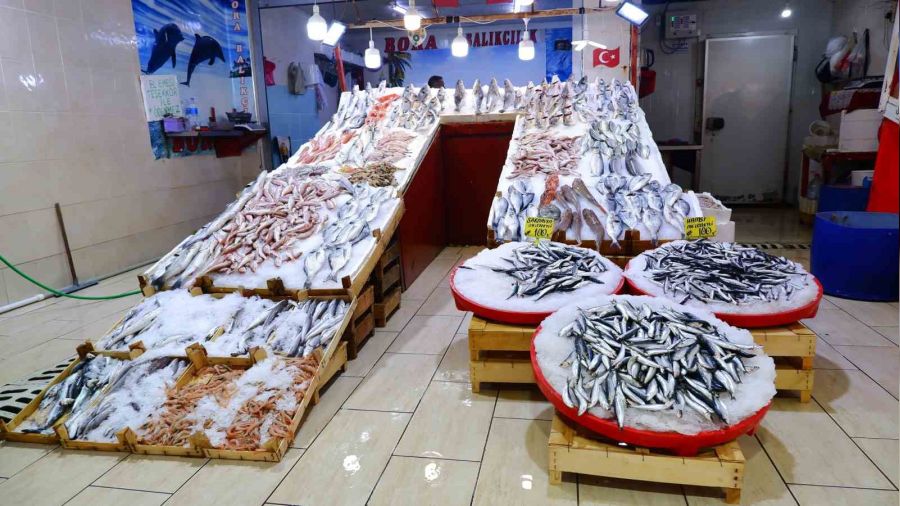 Tezg�hlar� hamsi ve sardalya s�sl�yor
