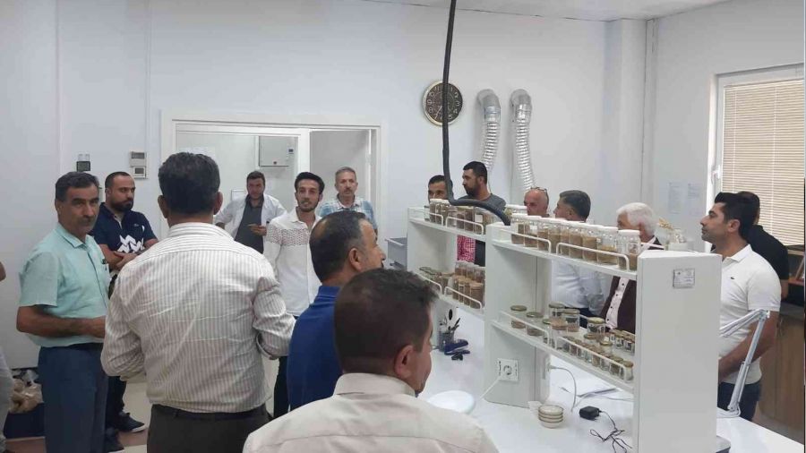 Tohum laboratuvarı üreticilere tanıtıldı