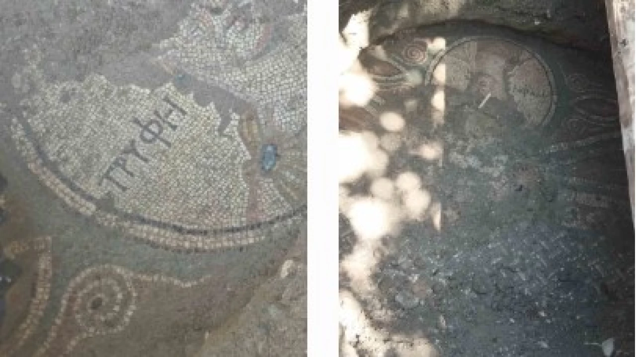 Tokat'taki kaçak kazı Roma mozağini ortaya çıkarttı