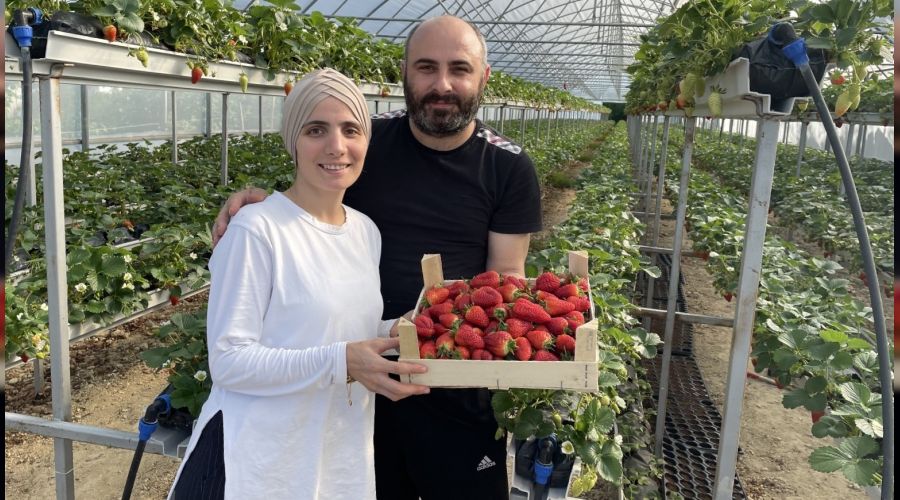 Topraks�z tar�m ile �ilek �retimini 3'e katl�yor