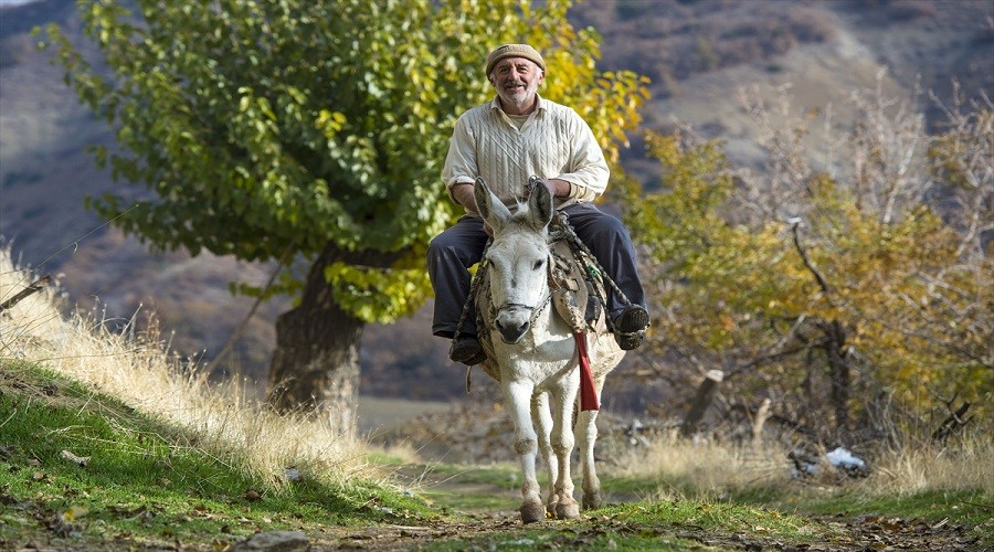 Tunceli Pertek'in muhteşem doğasında geçen zorlu hayatlar