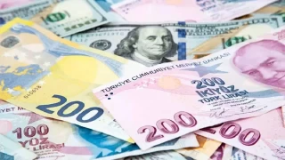 Trk lirasnn son bir yldaki deer kayb