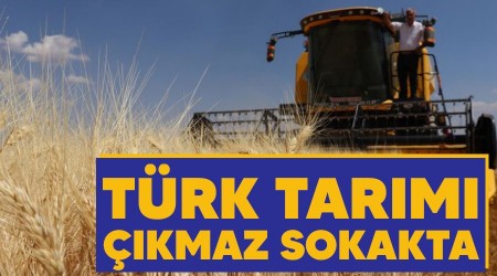 Trk tarm kmaz sokakta