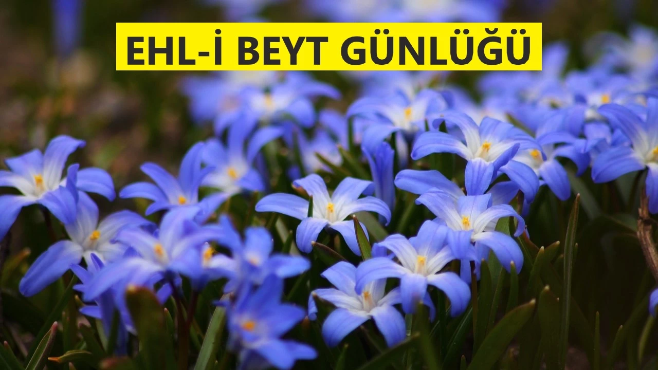 Velilere itaat, izzeti artt�r�r