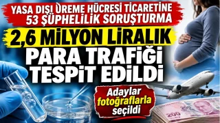 Yasa dışı üreme hücresi ticaretinde milyonluk para trafiği