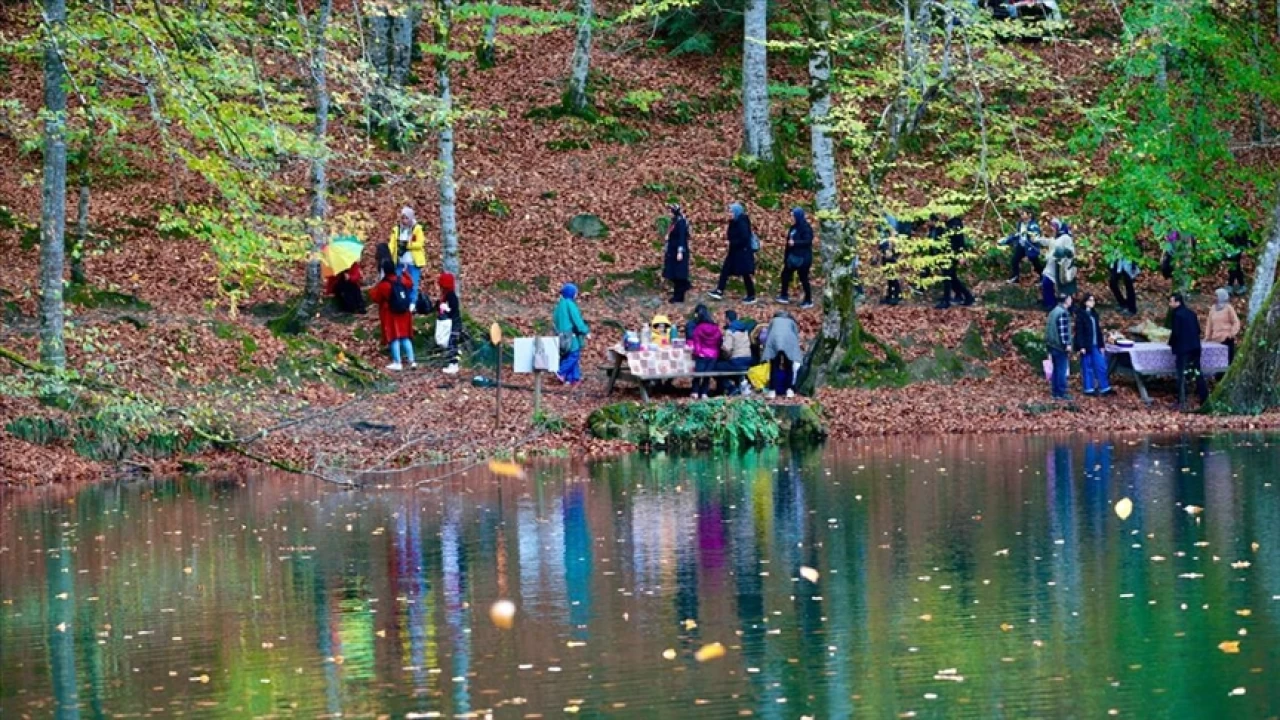 Yedigller Milli Park, sonbaharn bysyle ziyareti aknna uruyor