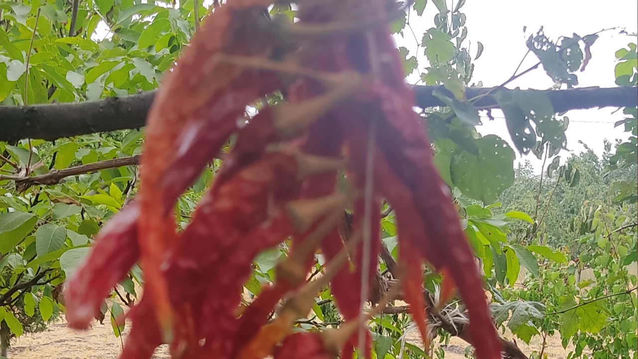 Yeme�e lezzet katan gizli fakt�r 