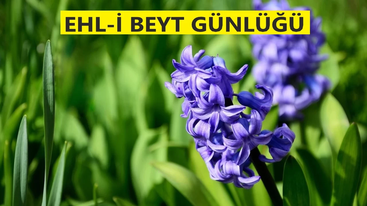 Yetersiz idareci, devleti kertir