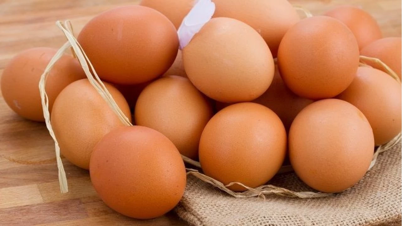 Yumurtaya dokunduktan sonra elinizi yıkamıyorsanız dikkat!