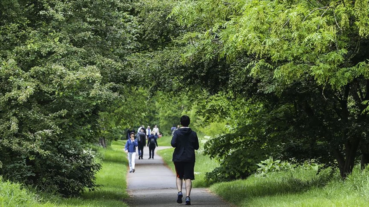 Yürüyüş yapmak diyabeti engeller mi?