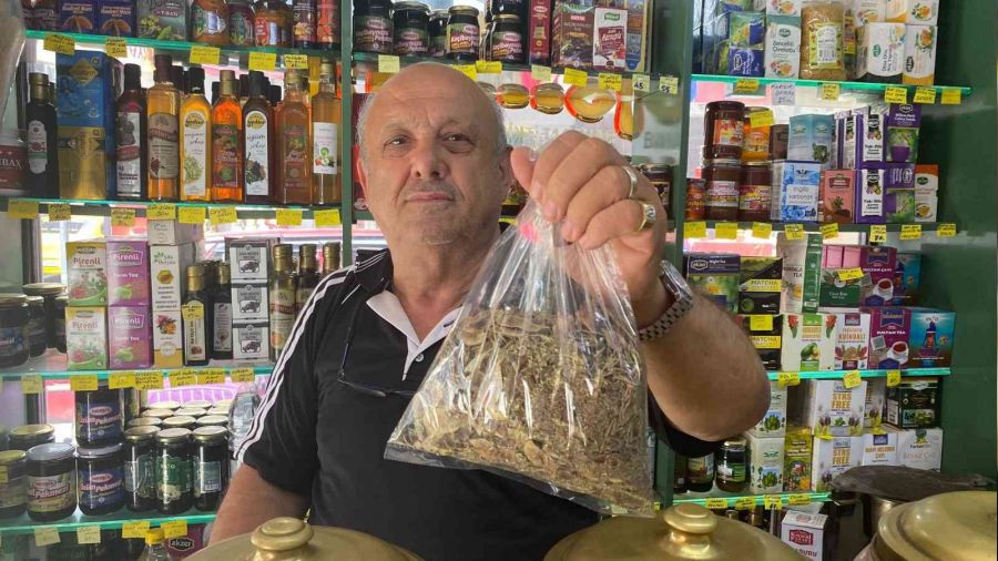 Zay�flamak i�in aktarlara ilgi g�steriyorlar