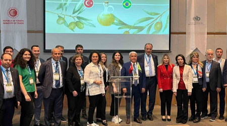 Zeytinya ihracatlar, Brezilya pazarnda gleniyor