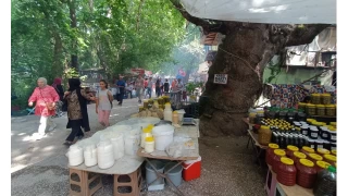 Zeyve Pazar: Doann kalbinde tarihi bir miras