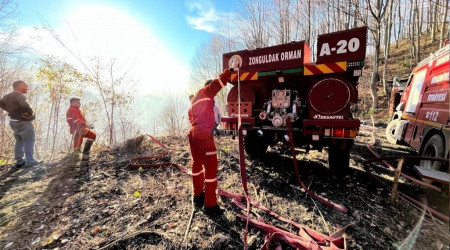 Zonguldak'ta orman yangını büyümeden söndürüldü